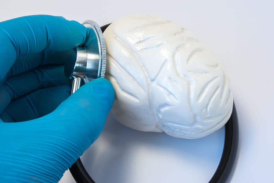 brain-medical-health-medicine.jpg